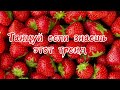 🍓Танцуй если знаешь этот тренд🍓Тик Ток🍓Tik Tok🍓