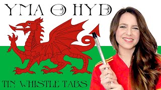 Yma O Hyd - Welsh Folk Song Tin Whistle Low Whistle Cover Tabs Tutorial Ar Log