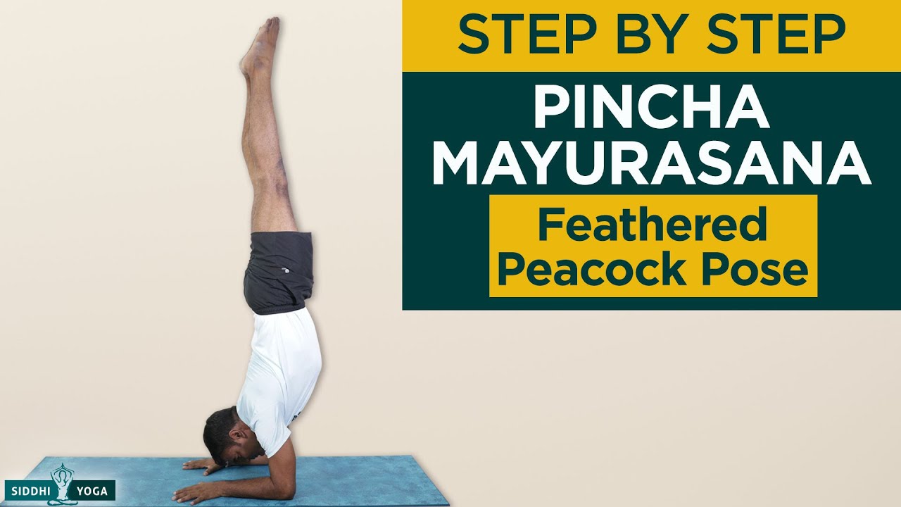 Pincha Mayurasana (Feathered Peacock Pose) To Strengthen Arms And