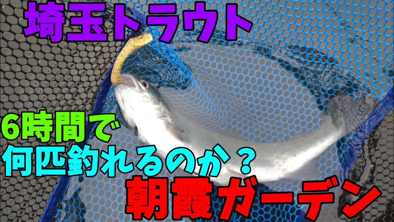 【ゆっくり釣行動画】25/5/25　埼玉トラウト　初場所・朝霞ガーデンで６時間釣行、まさかの大物が・・・