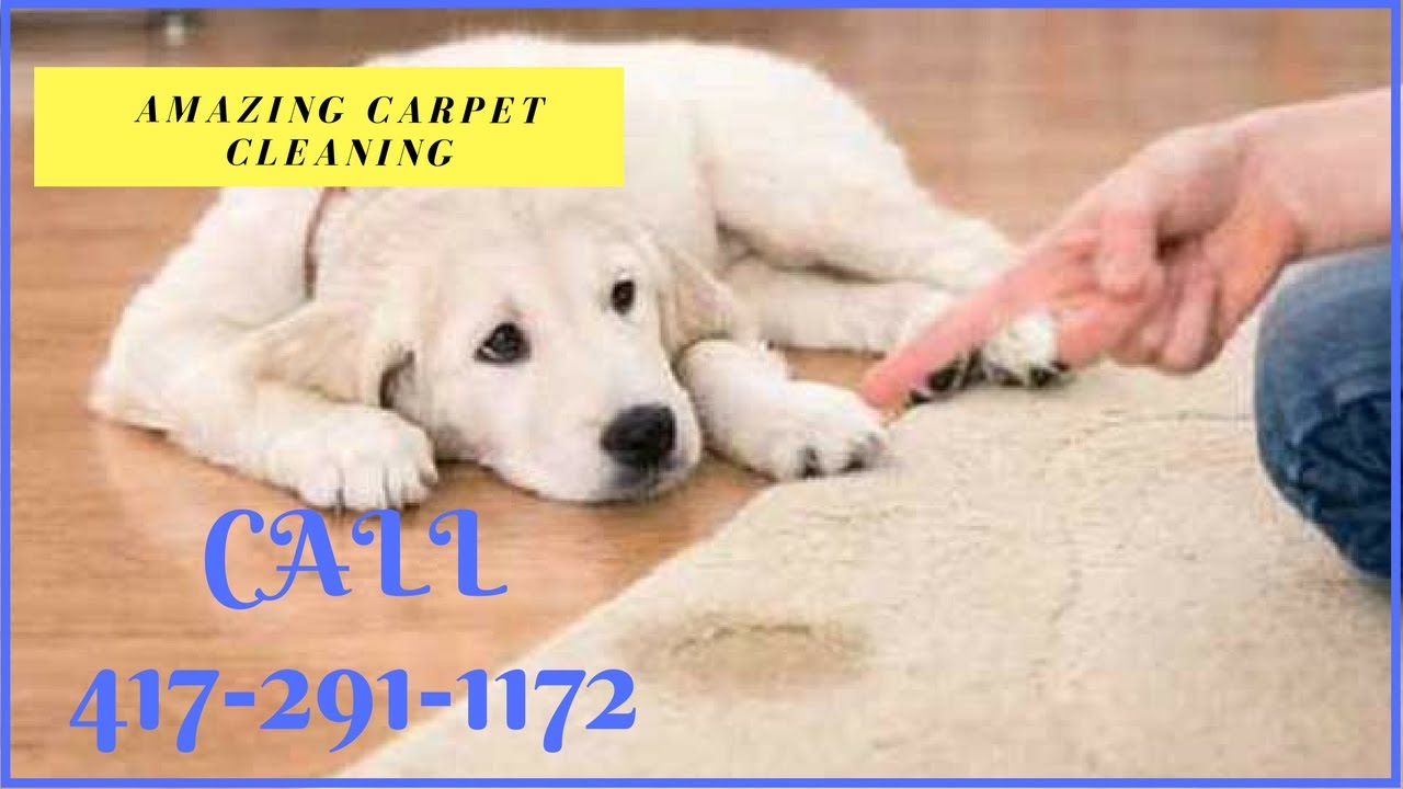 Joplin , Carthage, Neosho, Mo Premium carpet cleaning choice YouTube