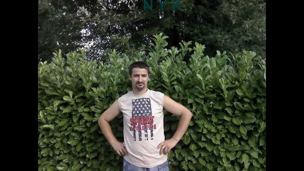 NECULAI GRIGORE