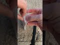 Hello, we are replacing brake shoe springs #spring #brake #mechanic #tutorial #hello #work #car