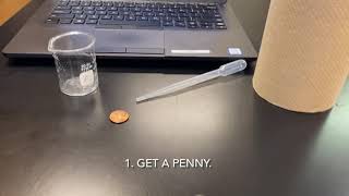 Penny Lab 1 Procedure