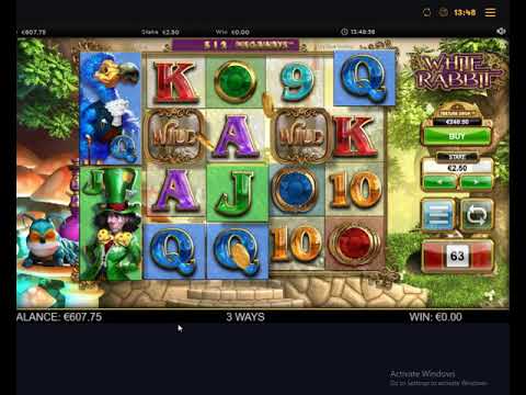Juca casino online pe Rabbit Road app - opțiunea perfectă pentru jucătorii români