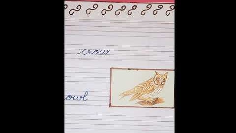 Class  kG   Ev s   see the picture  and write its name  Neha