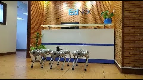 Go1 Edu Series || EdNex LLC || Unitree Robotics