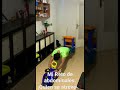 Mi Reto de abdominales, una forma diferente y divertía de hacer abdominales.