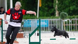 Scottie Hitchcock  11 years  World Agility Open 2018