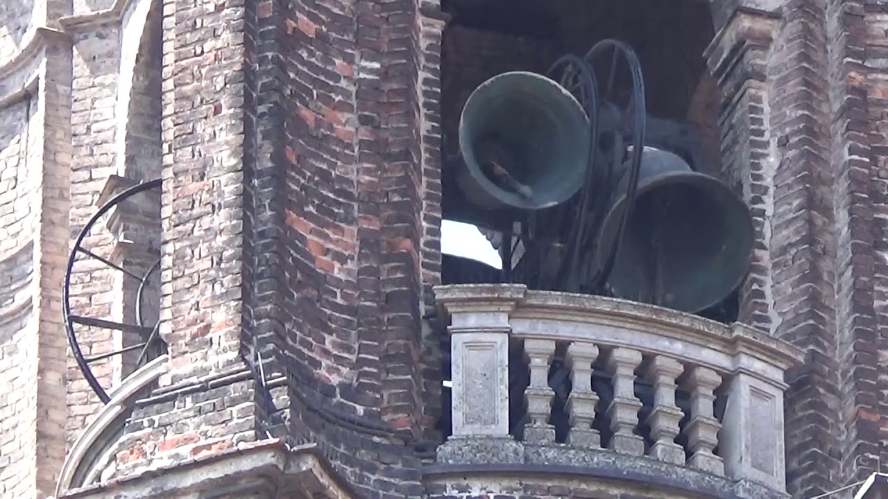 Le campane di Torino - Chiesa della Madonna del Carmine