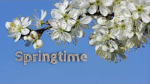 Springtime - DayDayNews