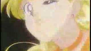 Sailor Moon - Hamster Dance