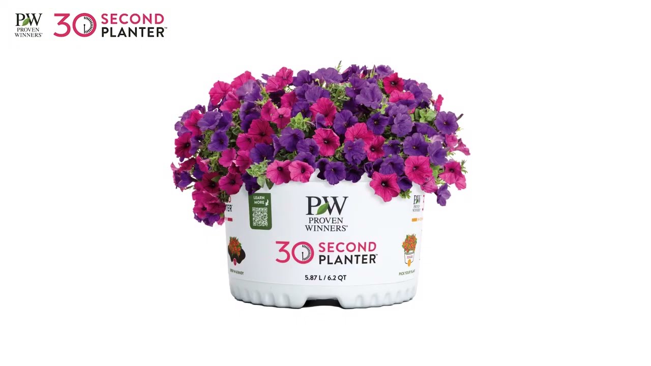 ポップンフラワーズ maxresdefault.jpg?sqp=-