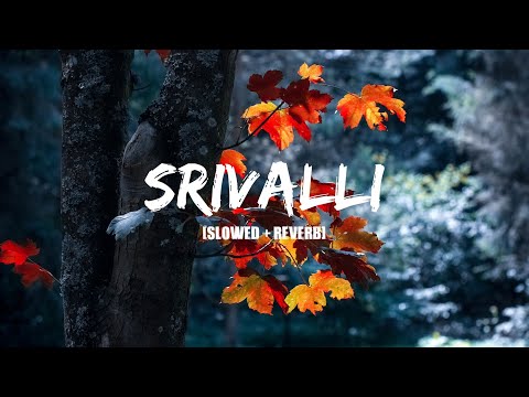 Srivalli [Slowed + Reverb] | Pushpa | Allu A , Rashmika M | Javed Ali | Music World |