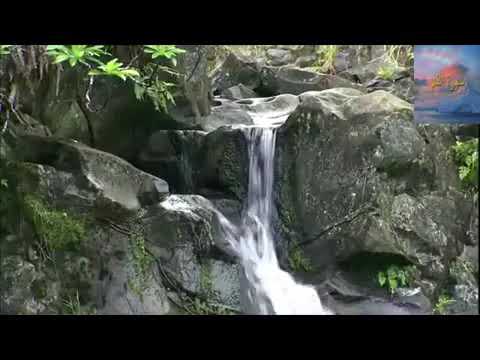 عامر كازمى     