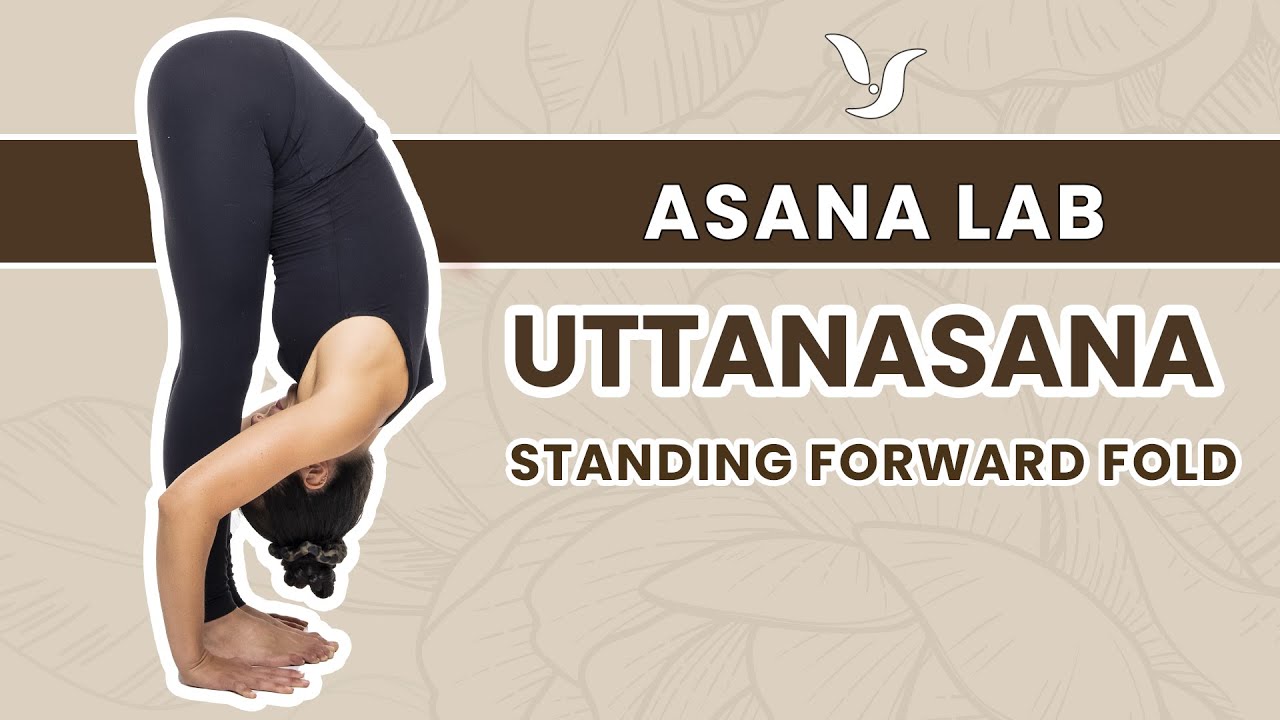 Asana Lab | Standing Forward Fold (Uttanasana) - Calm the Mind and Stretch the Hamstrings