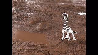 Khumba The Zebra Jump In The Mud With Black Slippers