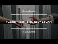 «Сопричастность друг другу» | Дручек Сергей