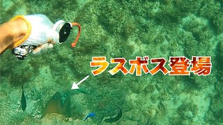 こんなおもちゃで狙える魚じゃない…見釣り中に出会ってしまった巨大ウツボが嘲笑う