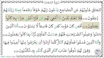 سورةُ السَّجدَةِ (16 - 20) إسلام صبحي