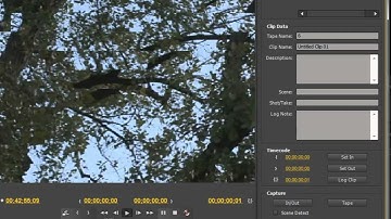 batch capturing premiere pro