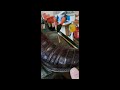 Lucchese Alligator Skin Boot Repair Before and After