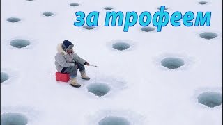 Русские приколы на рыбалке. Пьяные. Нереальная ржака. Подборка приколов 2018.