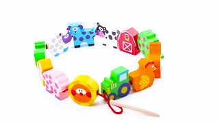 Tooky Toy ΞΥΛΙΝΑ ΣΥΡΟΜΕΝΑ ΖΩΑΚΙΑ ΜΕ ΚΟΡΔΟΝΙ TKB510