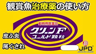 【魚病薬の使い方】観賞魚用治療薬「グリーン F ゴールド顆粒」