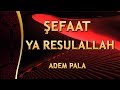 Muhteşem Bir İlahi Sensiz Bu Halim Nicedir Şefaat Ya RESULALLAH Adem Pala 