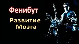 Фенибут: Исследования, Развитие Мозга