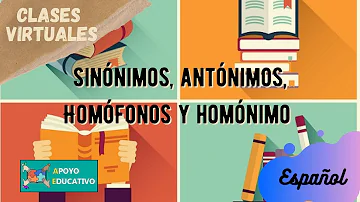 ¿Cuál es la función de los sinónimos los antonimos los Homonimos y los Homofonos en la lengua española?