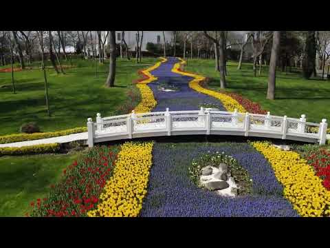 فيديو: تخصصات المناظر الطبيعية: تعرف على أنواع مختلفة من مصممي الحدائق