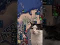 THE CZECH REVENGE ON THE GERMAN PLAYER! | Hearts of Iron IV #hoi4 #dankusmemecus #tommykay #hoi4meme