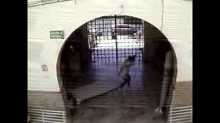 Fantasma Secundaria 53