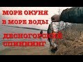 Море окуня в море воды. Десногорский спиннинг.