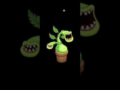 MSM VOICE IMPRESSIONS
