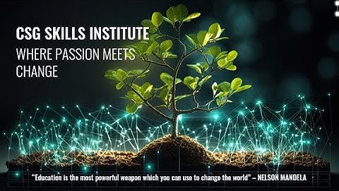 CSG Skills Institute | Transformative Learnerships Empowering Skills Development in South Africa