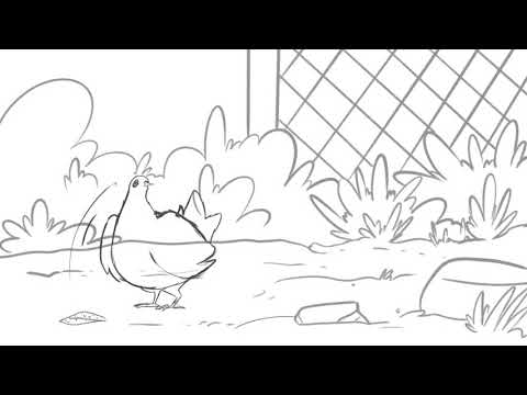 bird and cat interactions