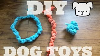 3 Easy DIY Dog Toys