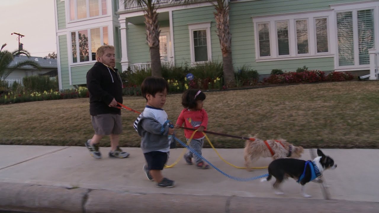 kids walking dog