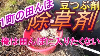 田んぼに除草剤を撒きます。