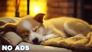 12 HOURS Soothing Music For Dogs  Anti Separation Anxiety  Stress Relief Music