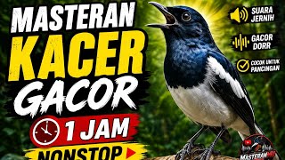 KACER GACOR !! 1 JAM NONSTOP | Isian Variasi Suara Kacer Biar Makin Gacor cocok buat MASTERAN #Kacer