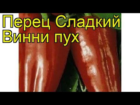 Перец сладкий Винни пух. Краткий обзор, описание характеристик Vinni pukh