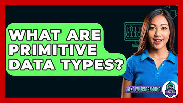What Are Primitive Data Types? - Next LVL Programming