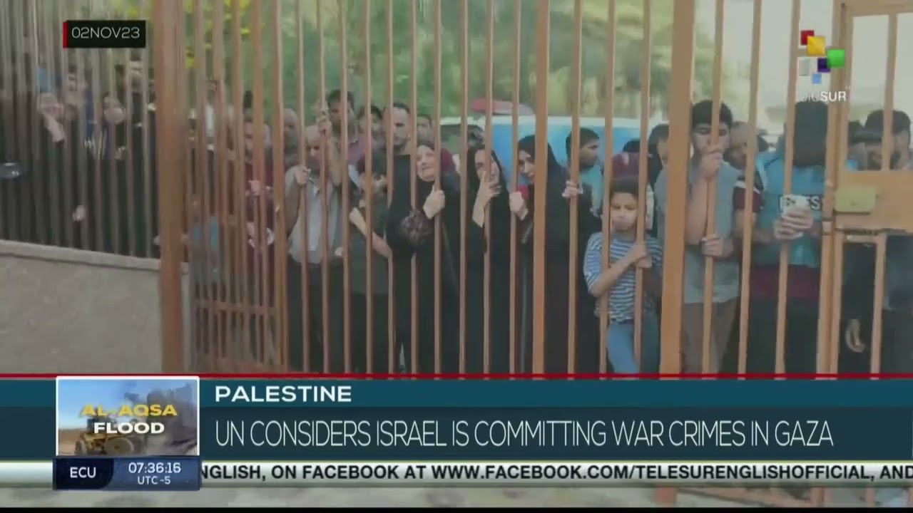 UN commission recognizes international crimes in Gaza