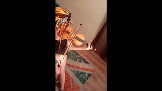 LETA studio - Violins