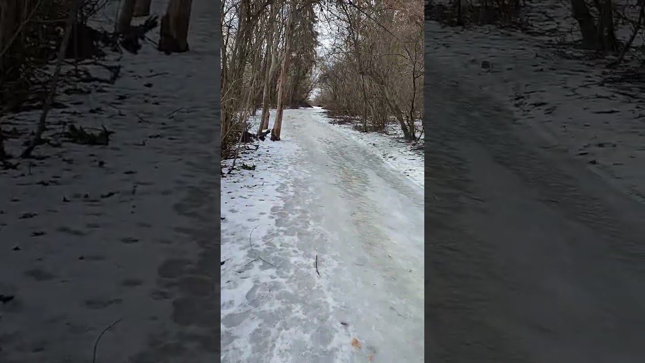 Дендропарк ще рибаки