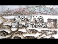 【ありの飼育記#149】蟻の巣に直接ゴキブリをぶち込んだらヤバすぎた